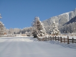 Winterlandschaft-(2)